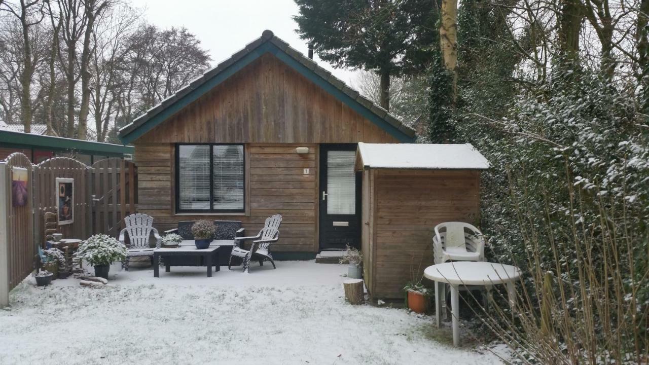Vakantiehuis Duin Bos En Zee Schoorl Bagian luar foto