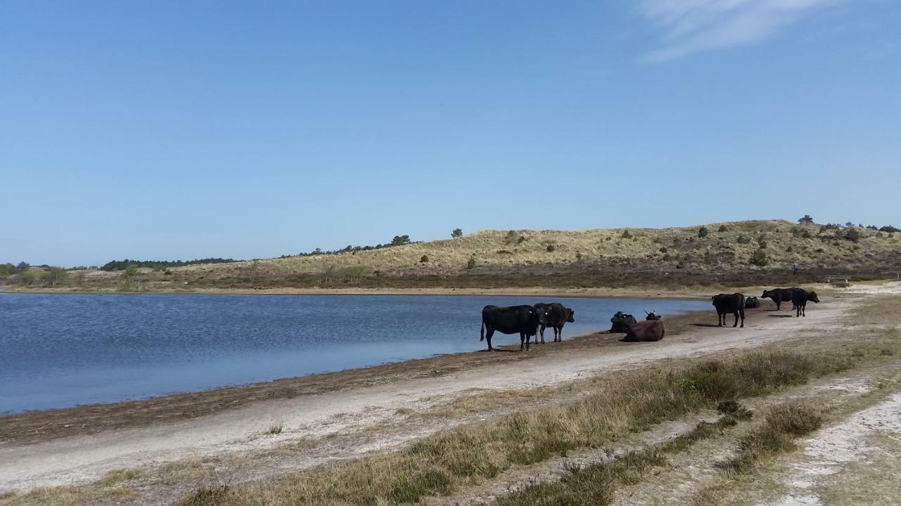 Vakantiehuis Duin Bos En Zee Schoorl Bagian luar foto